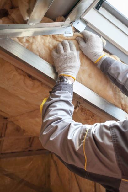 Best Energy Efficiency Solutions in Lincoln Park, MI
