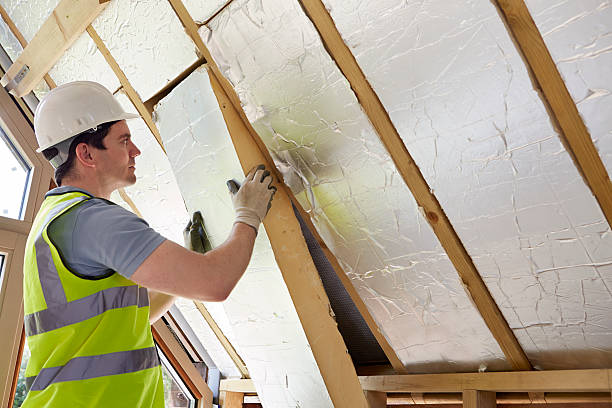 Best Specialty Insulation in Lincoln Park, MI