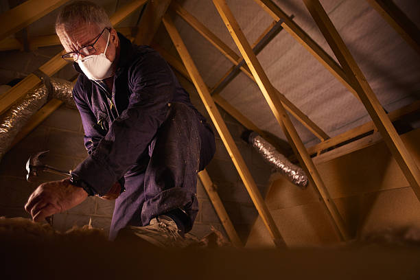 Best Insulation for Specific Applications in Lincoln Park, MI